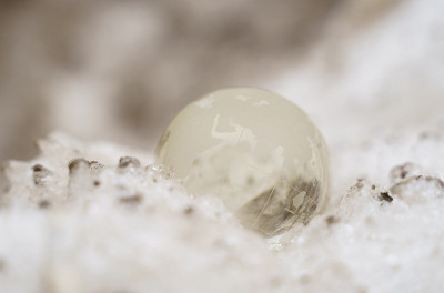 玻璃球躺在肮脏的雪堆上或冰冷的背景上，周围有阳光。天气和污染概念。