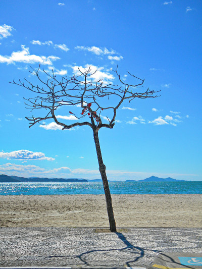 阳光和海滩