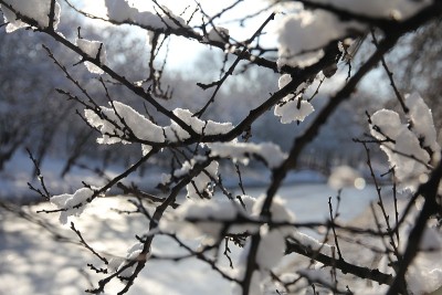 神奇的雪