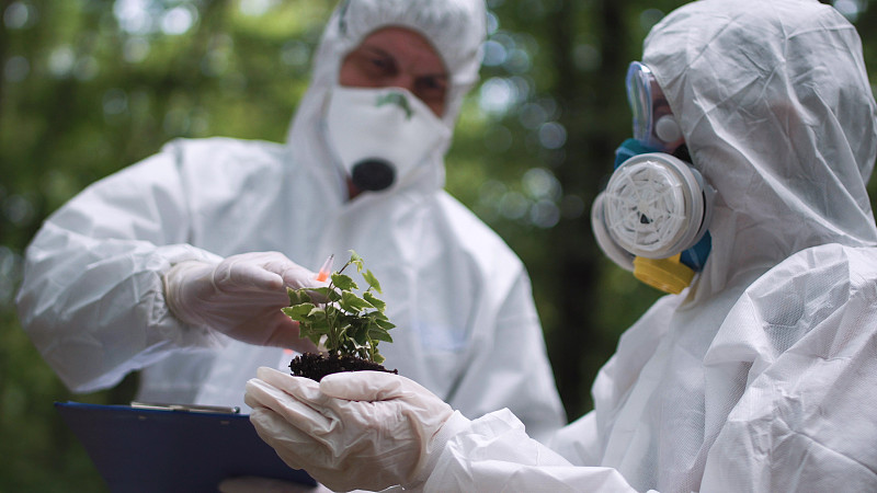 生态学家分析一种植物
