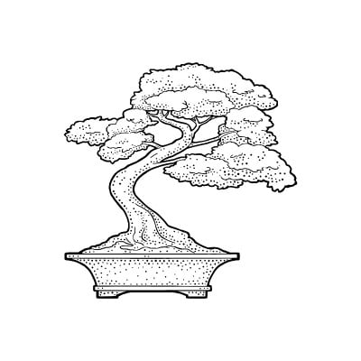 盆景树在花盆。复古黑色矢量雕刻插图