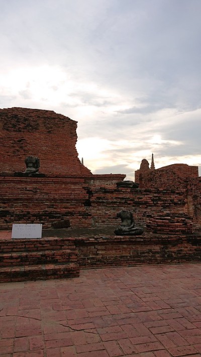什么是sanphet