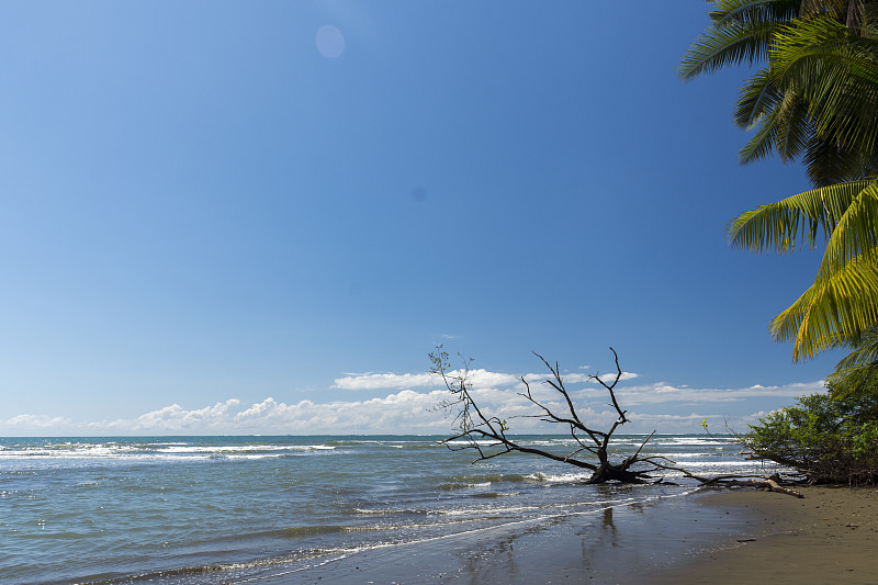 Bahia Ballena Pacifico Sur de Costa Rica