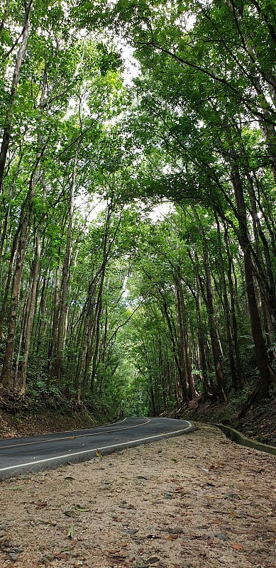 空无一人的道路