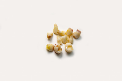我普里米登蒂尼