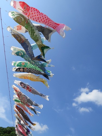 鲤鱼等浮电缆