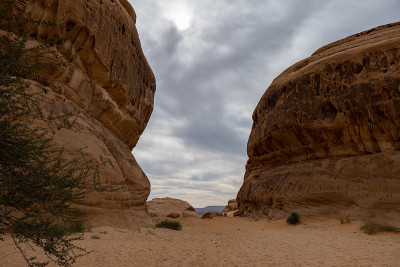 沙特阿拉伯Al Ula附近的Mada'in Saleh (Al- hijr & Hegra)考古遗址