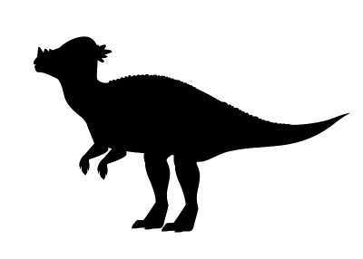Black silhouette. Green Pachycephalosaurus. Cute d