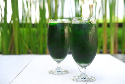 绿色的夏天鸡尾酒
