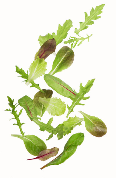 生菜沙拉叶