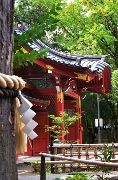 Saitama的Chichibu shrine报道