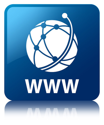 WWW(全球网络图标)蓝色方框按钮
