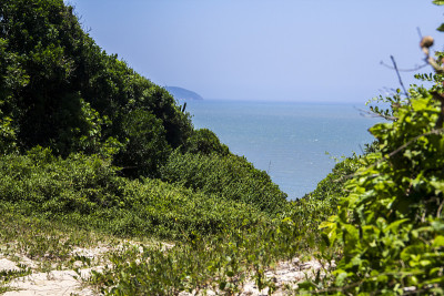 巴西南部美丽的海滩