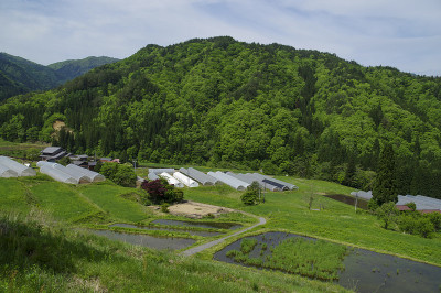 农村