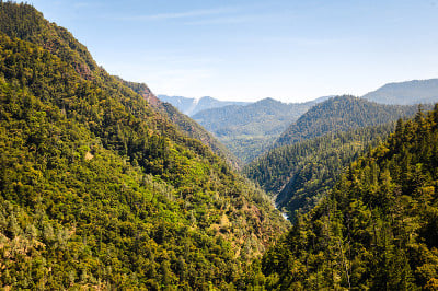 六河国家森林(大脚风景道)