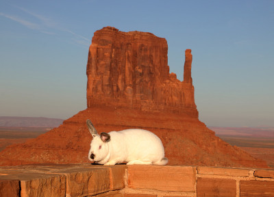 西Mitten Butte，纪念碑谷，亚利桑那州