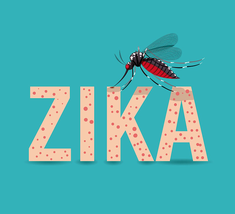 the Zika virus design