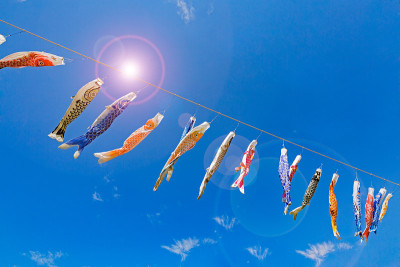 鲤鱼等浮电缆