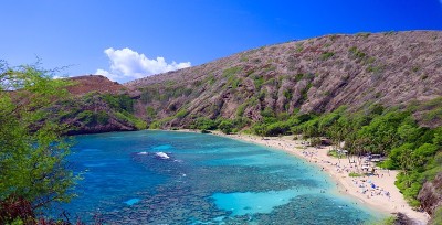 夏威夷海滩的颜色为蓝绿色和绿色
