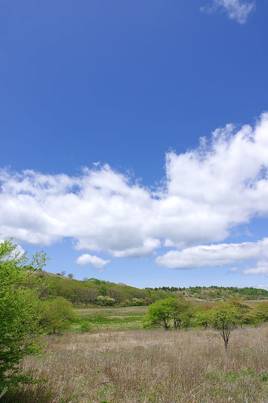 山野县