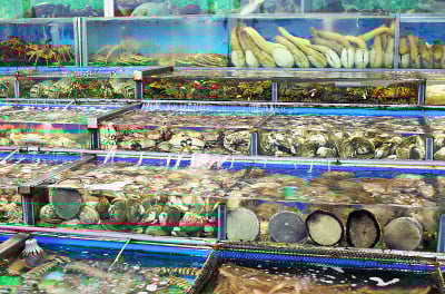 香港海鲜市场