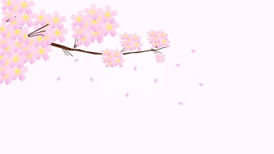 樱花和飘落的花瓣