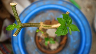 新拍摄