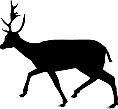 Silhouette of deer.