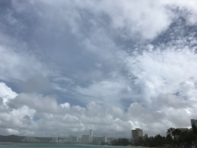 美丽的海
