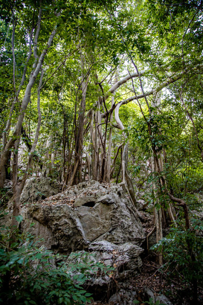 泰国帕拉雅·那空洞，Khua Kharuehat亭庙，位于泰国巴育普·基里汗Khao Sam Roi