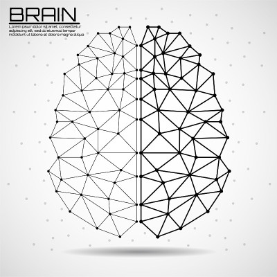 人脑中抽象的线和点，多边形线框