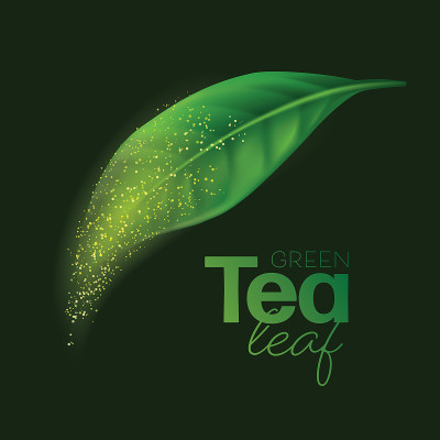 现实的绿茶叶矢量插图