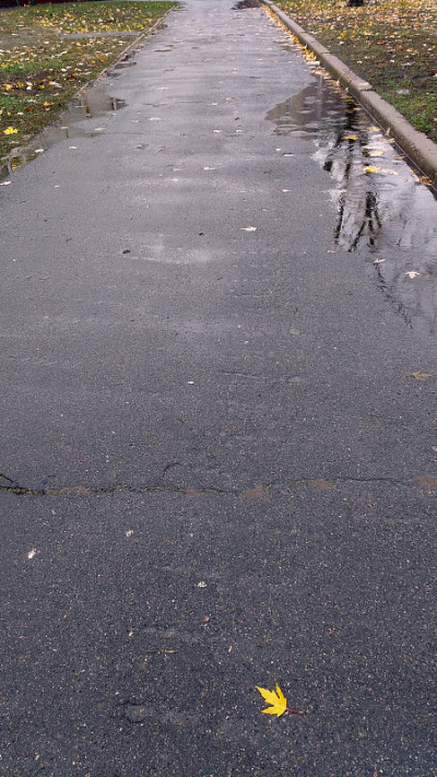 秋天多雨的背景。雨滴落在水面上。水坑里的黄色叶子
