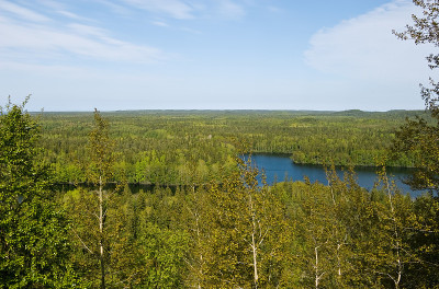 Solovki岛的风景