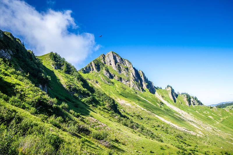 法国大出生地的山地景观