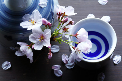 樱花和清酒