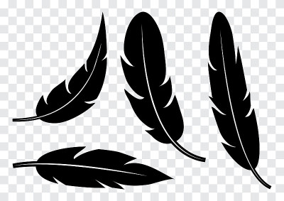 Set of black feather. Vector illustration