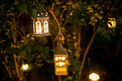灯光模糊的夜晚，树上的烛台小屋