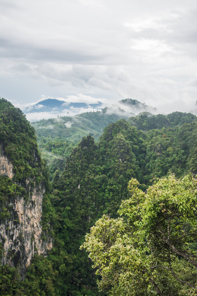 山和雾的景观，甲米，泰国