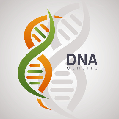 dna遗传的海报