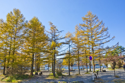 日本群马县秋日的哈鲁纳湖