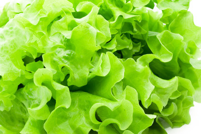 生菜