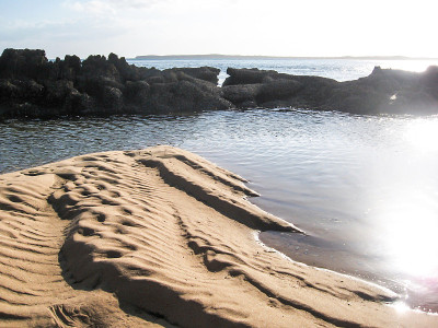 小沙吐