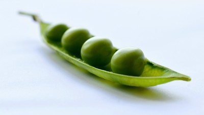 豌豆