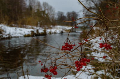 冬天的乡村景色，白雪和白色的田野