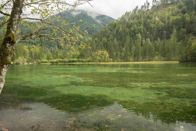Schiederweiher，美丽的奥地利湖，靠近Hinterstoder