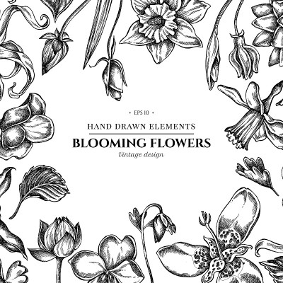 花型设计有黑白依兰，凤仙花，水仙，底格里布，荷花，aquilegia
