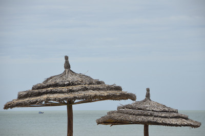 海