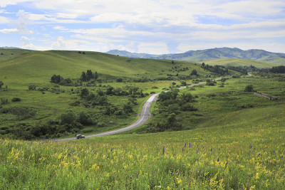蜿蜒的道路