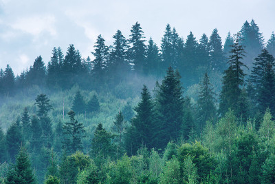 雾气笼罩山林，自然的户外背景